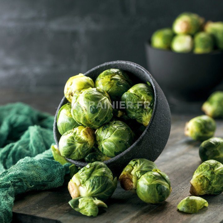 Brussels cabbage Groninger, Brassica Oleracea Var. gemmifera image